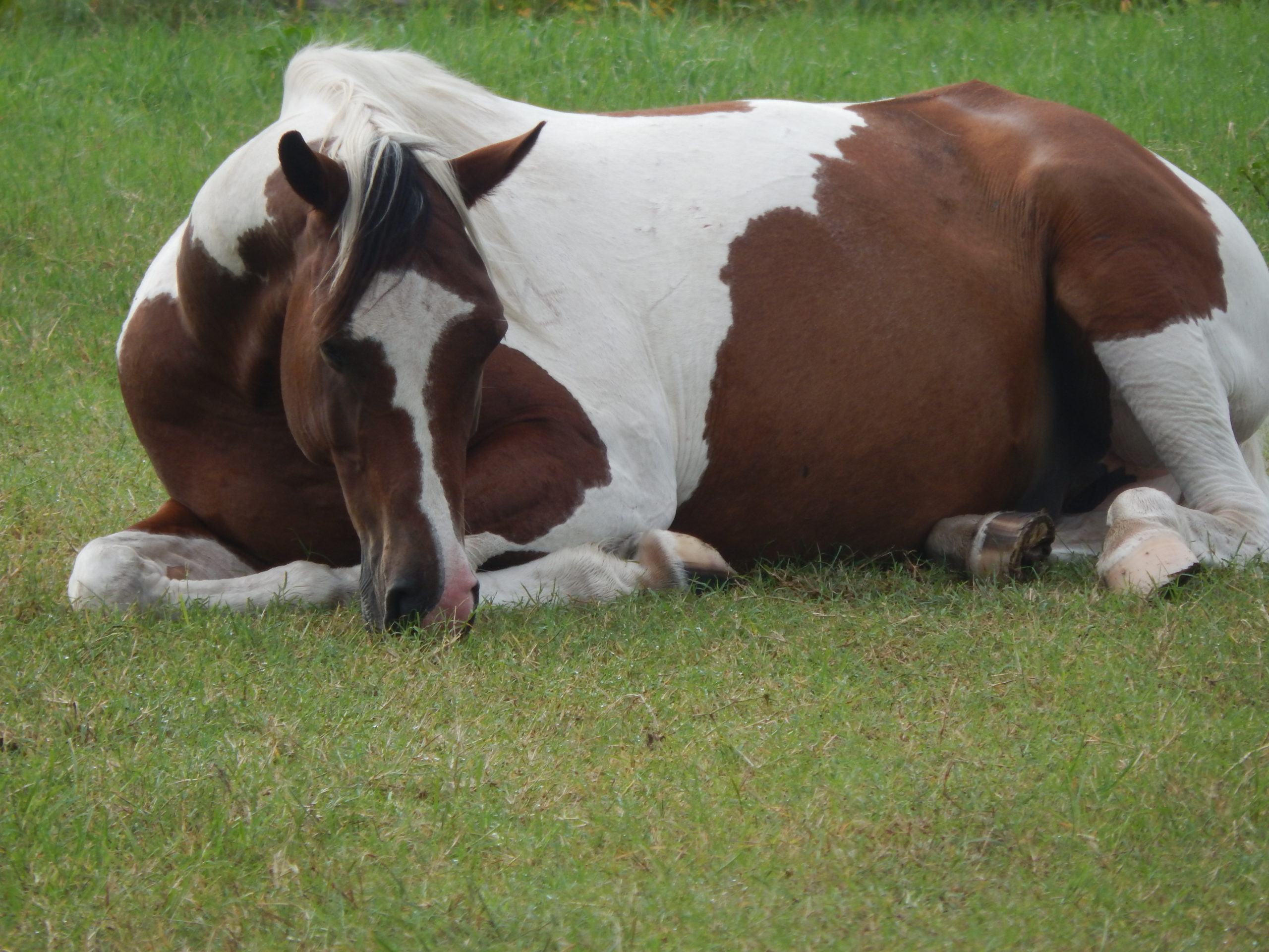 Photo by Eden Cassady