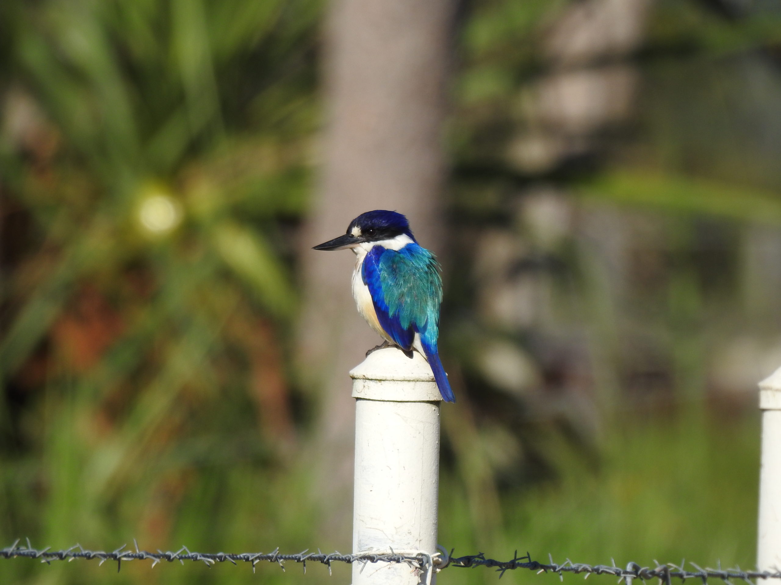 Photo by Joanne Cassady